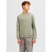 Jack & jones Junior Sweatshirt pastelgrøn / hvid
