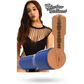 Private Ginebra Pornstar Pussy