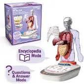 Canal Toys Menneskekroppens Vozpedia