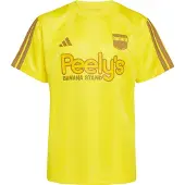 Adidas Funktionsskjorte 'x Fortnite Peely' brun / gul / honning