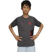 Puma Ac Milan 25/26 Tech Pocket Jr T-shirt Med Korte ærmer