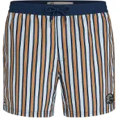 O'Neill Badeshorts pastelblå / mørkeblå / cognac