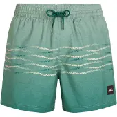 O'Neill First 15´´ Badeshorts