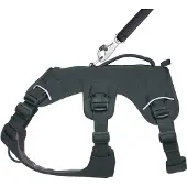 Ruffwear Web Master Harness - XS - Basalt Gray