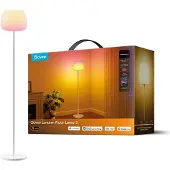 Govee Lantern Floor Lamp