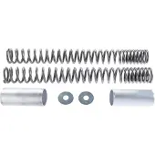 Wirth Federn Progressive Gaffelfjedre GSX 1400 05-