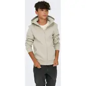 Only & Sons Junior Sweatjakke 'OSJCERES' beige