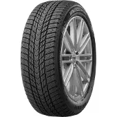 Nexen Winguard Ice Plus