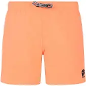 Protest Culture Badeshorts