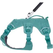 Ruffwear Web Master Harness - L/XL - River Rock Green