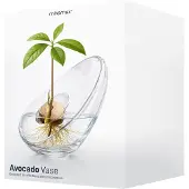 Mikamax Avocado Vase