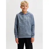 Jack & Jones Corp Logo Hættetrøje