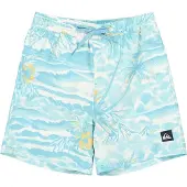 Quiksilver Everyday Printed Volley 14´´ Badeshorts