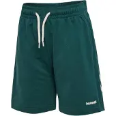 Hummel Sweatshorts - hmlJR Chevron - June Bug - - 11 år (146) - Shorts