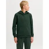 Jack & Jones Ensfarvet Hættetrøje Boys