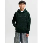 Jack & Jones Logo Hættetrøje Boys