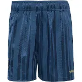 Adidas Argentina Afa Eqt Shorts