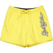 Quiksilver Everyday Malibu Volley 15´´ Badeshorts