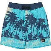 Quiksilver Everyday Printed Volley 13´´ Badeshorts