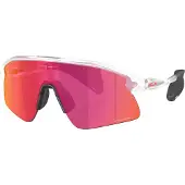 Oakley Stunt Devil Solbriller