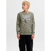 Jack & Jones Sweatshirt Boys