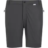 Regatta Mountain Ii Shorts