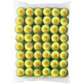 Wilson Starter Tennisbolde 48 Enheder