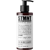 STMNT All In One Cleanser