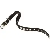Ferplast Dual 25 Mm 45 Cm Hundehalsbånd
