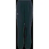 Adidas Terrex Multi Bukser