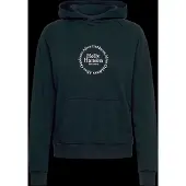 Helly Hansen Core Graphic Hættetrøje