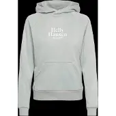 Helly Hansen Core Graphic Hættetrøje