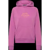 Helly Hansen Core Graphic Hættetrøje