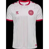 Hummel Danmark Udebanetrøje 2026/27 - , størrelse Large