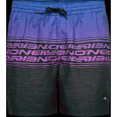 O'Neill Logo Stripe 16´´ Badeshorts