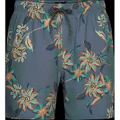 Rip Curl Sessions Badeshorts
