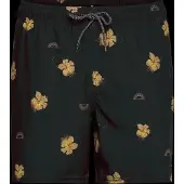 Rip Curl Sessions Badeshorts