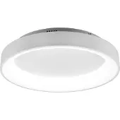 TRIO Loftslampe , LED, 48W, 2700-6000K, 5600 lm, Ø60