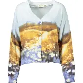 Desigual Cardigan blå / brun