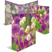 Herma ringmappe Purple Sensation motiv 7,0 cm DIN A4 (19558)