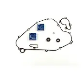 Athena P400250475012 Reparationssæt Til Vandpumpe