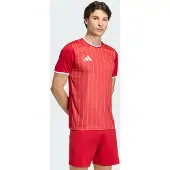 Adidas Entrada26-trøje med grafik, størrelse Medium