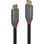 Lindy 5a 1.5 M Usb-c-kabel