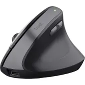 Trust TM-270 - Mus - ergonomisk - højrehåndet - optisk - 6 knapper - trådløs - 2.4 GHz - trådløs modtager (USB) - sort