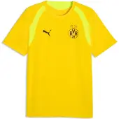 Puma Dortmund Trænings T-Shirt - Gul/Gul - , størrelse Medium