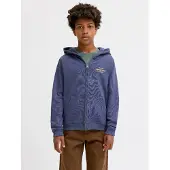 Jack & Jones Back Printet Hættetrøje Boys