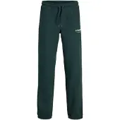 Jack & jones Junior Bukser 'JPSTKane' gran
