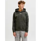 Jack & Jones Junior Sweatshirt 'JCOCLUB' gran / hvid