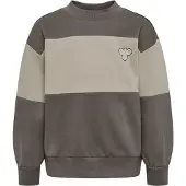 Hummel Sweatshirt - HmlMini - Loose - Dark Gull Gray - - 5 år (110) - Sweatshirt