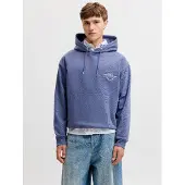 Jack & Jones Back Printet Hættetrøje